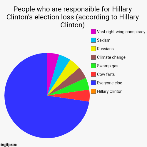 People who are responsible for Hillary Clinton's election loss (according to Hillary Clinton) | Hillary Clinton, Everyone else, Cow farts, S | image tagged in funny,pie charts,hillary clinton | made w/ Imgflip chart maker