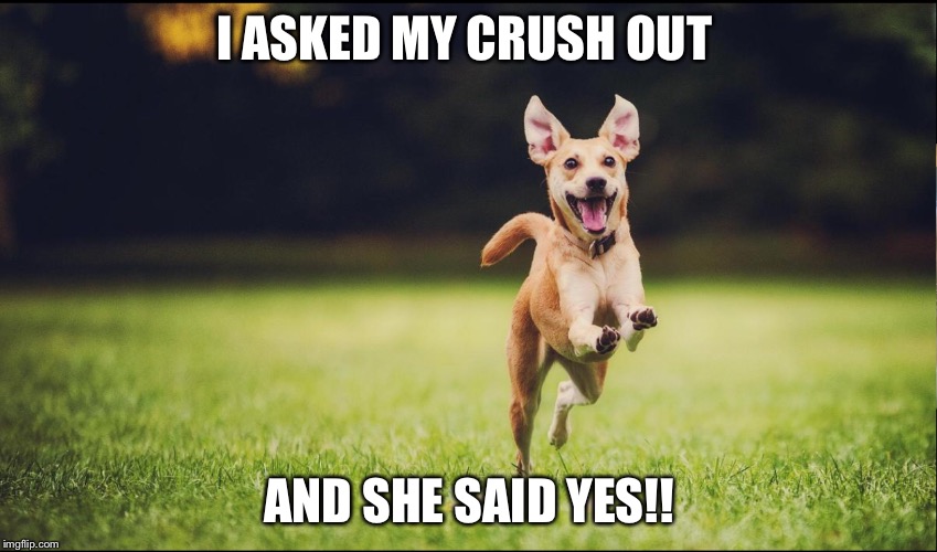 I ASKED MY CRUSH OUT; AND SHE SAID YES!! | image tagged in happy dog | made w/ Imgflip meme maker