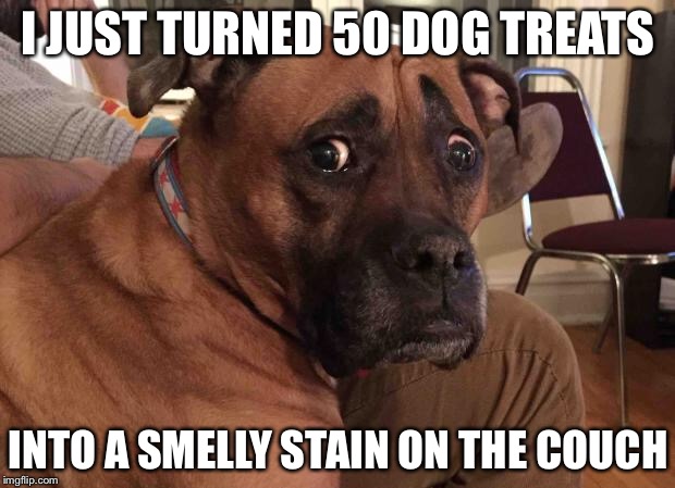 Oh crap dog | I JUST TURNED 50 DOG TREATS; INTO A SMELLY STAIN ON THE COUCH | image tagged in oh crap dog | made w/ Imgflip meme maker