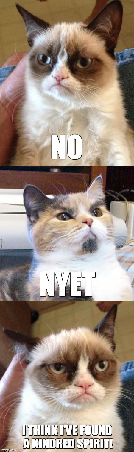 Grumpy Cat meets Lenin Cat | NO; NYET; I THINK I'VE FOUND A KINDRED SPIRIT! | image tagged in memes,grumpy cat,lenin cat,funny cats | made w/ Imgflip meme maker