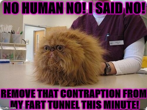 NO HUMAN NO! I SAID NO! REMOVE THAT CONTRAPTION FROM MY FART TUNNEL THIS MINUTE! | image tagged in fart tunnel | made w/ Imgflip meme maker