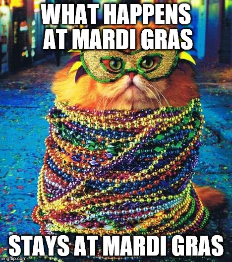 Mardi Gras Cat2 | WHAT HAPPENS AT MARDI GRAS; STAYS AT MARDI GRAS | image tagged in mardi gras cat2 | made w/ Imgflip meme maker