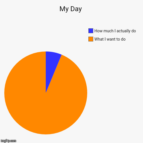 My Day | What I want to do, How much I actually do | image tagged in funny,pie charts | made w/ Imgflip chart maker