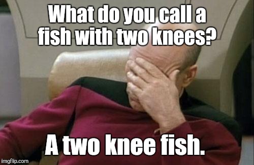 Captain Picard Facepalm Meme | What do you call a fish with two knees? A two knee fish. | image tagged in memes,captain picard facepalm | made w/ Imgflip meme maker