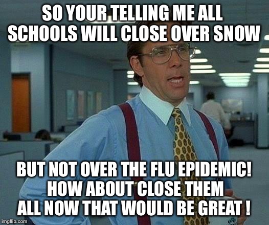 That Would Be Great | SO YOUR TELLING ME ALL  SCHOOLS WILL CLOSE OVER SNOW; BUT NOT OVER THE FLU EPIDEMIC! HOW ABOUT CLOSE THEM ALL NOW THAT WOULD BE GREAT ! | image tagged in memes,that would be great | made w/ Imgflip meme maker