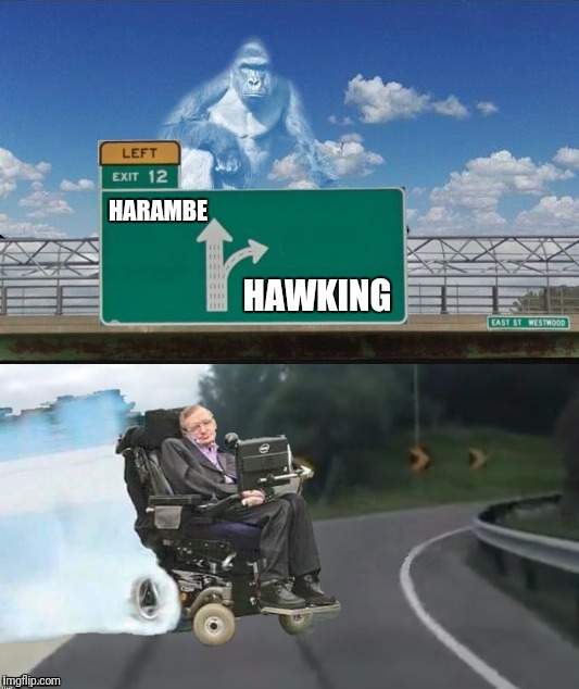 I WANNA GET LOST IN YOUR ROCK AND ROLL AND DRIFT AWAY | HARAMBE; HAWKING | image tagged in left exit 12 off ramp,harambe,stephen hawking,rock and roll,drift away,dobie gray | made w/ Imgflip meme maker