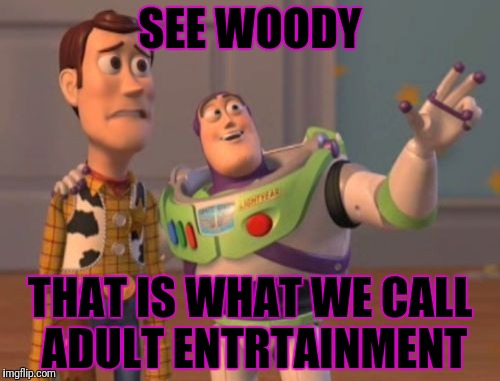 X, X Everywhere | SEE WOODY; THAT IS WHAT WE CALL ADULT ENTRTAINMENT | image tagged in memes,x x everywhere | made w/ Imgflip meme maker