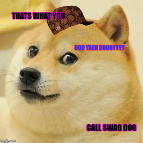 Doge Meme | THATS WHAT YOU; OOO YAEH BOOOYYYY; CALL SWAG DOG | image tagged in memes,doge,scumbag | made w/ Imgflip meme maker