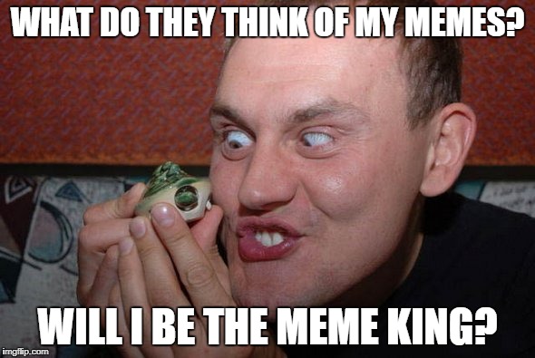 WHAT DO THEY THINK OF MY MEMES? WILL I BE THE MEME KING? | image tagged in fart,farttt | made w/ Imgflip meme maker