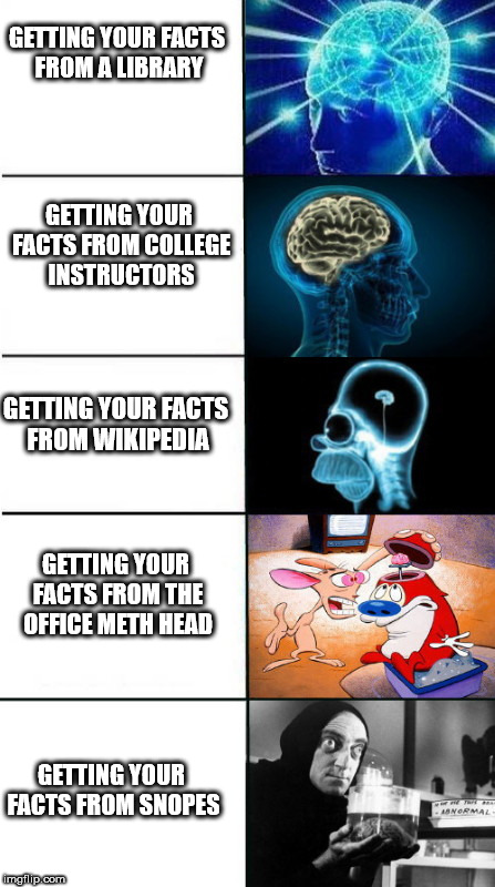 Imploding Brain | GETTING YOUR FACTS FROM A LIBRARY; GETTING YOUR FACTS FROM COLLEGE INSTRUCTORS; GETTING YOUR FACTS FROM WIKIPEDIA; GETTING YOUR FACTS FROM THE OFFICE METH HEAD; GETTING YOUR FACTS FROM SNOPES | image tagged in imploding brain | made w/ Imgflip meme maker