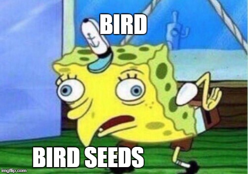 Mocking Spongebob Meme | BIRD; BIRD SEEDS | image tagged in memes,mocking spongebob | made w/ Imgflip meme maker