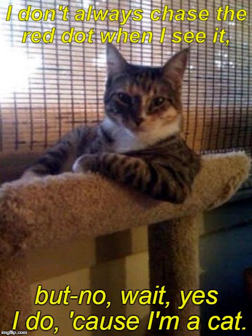 The Most Interesting Cat In The World Meme | I don't always chase the red dot when I see it, but-no, wait, yes I do, 'cause I'm a cat. | image tagged in memes,the most interesting cat in the world | made w/ Imgflip meme maker