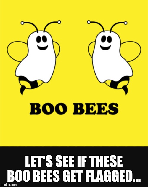 I love a great pair of boo bees. Ghost Week, Jan. 21-27, A LaurynFlint Event! | LET'S SEE IF THESE BOO BEES GET FLAGGED... | image tagged in jbmemegeek,ghost week,ghosts,bees,bad puns | made w/ Imgflip meme maker