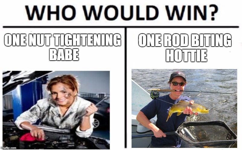 Shout out to musclecargirl76 for the inspiration! | ONE NUT TIGHTENING BABE ONE ROD BITING HOTTIE | image tagged in memes,who would win | made w/ Imgflip meme maker