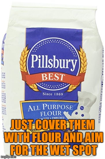 JUST COVER THEM WITH FLOUR AND AIM FOR THE WET SPOT | made w/ Imgflip meme maker