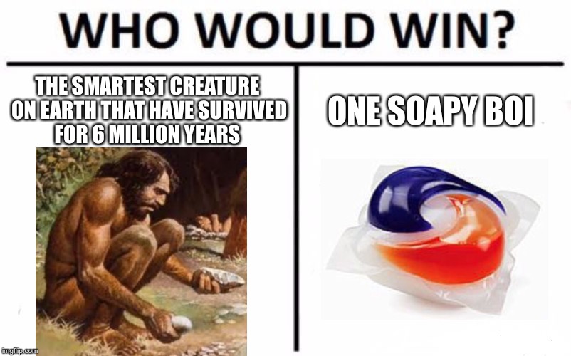 Who Would Win? Meme | THE SMARTEST CREATURE ON EARTH THAT HAVE SURVIVED FOR 6 MILLION YEARS; ONE SOAPY BOI | image tagged in memes,who would win | made w/ Imgflip meme maker