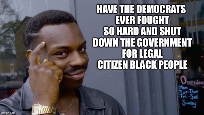 Roll Safe Think About It Meme | HAVE THE DEMOCRATS EVER FOUGHT SO HARD AND SHUT DOWN THE GOVERNMENT FOR LEGAL CITIZEN BLACK PEOPLE | image tagged in memes,roll safe think about it | made w/ Imgflip meme maker