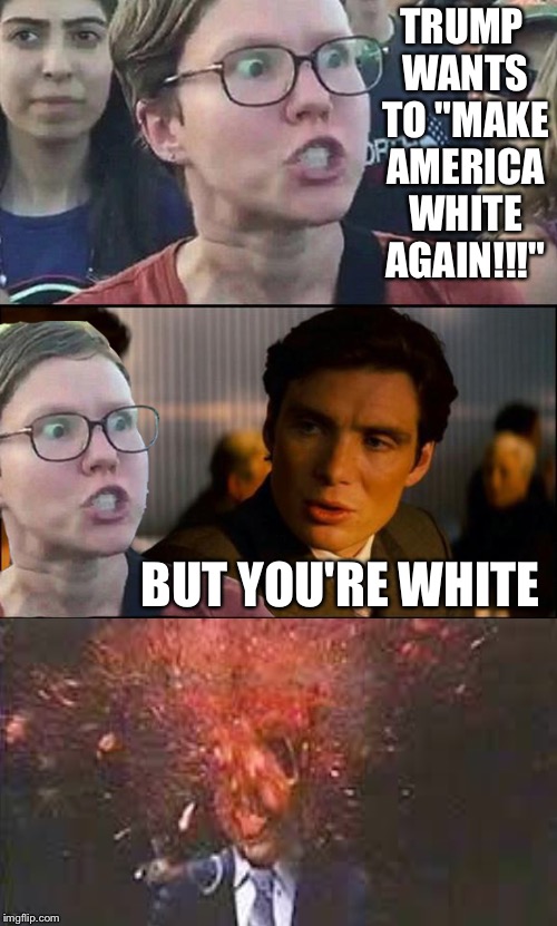 TRUMP WANTS TO "MAKE AMERICA WHITE AGAIN!!!"; BUT YOU'RE WHITE | image tagged in memes | made w/ Imgflip meme maker