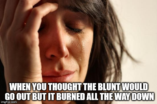 First World Problems Meme | WHEN YOU THOUGHT THE BLUNT WOULD GO OUT BUT IT BURNED ALL THE WAY DOWN | image tagged in memes,first world problems | made w/ Imgflip meme maker