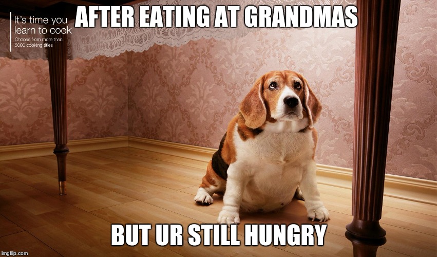 AFTER EATING AT GRANDMAS; BUT UR STILL HUNGRY | image tagged in funny dogs | made w/ Imgflip meme maker