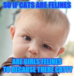 Skeptical Baby Meme | SO IF CATS ARE FELINES; ARE GIRLS FELINES TO BECAUSE THERE CATTY | image tagged in memes,skeptical baby | made w/ Imgflip meme maker