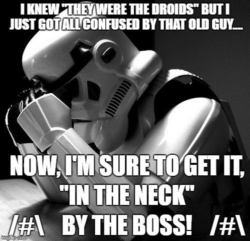 Depressed Stormtrooper | I KNEW "THEY WERE THE DROIDS" BUT I JUST GOT ALL CONFUSED BY THAT OLD GUY.... NOW, I'M SURE TO GET IT, "IN THE NECK"; /#\    BY THE BOSS!    /#\ | image tagged in depressed stormtrooper | made w/ Imgflip meme maker