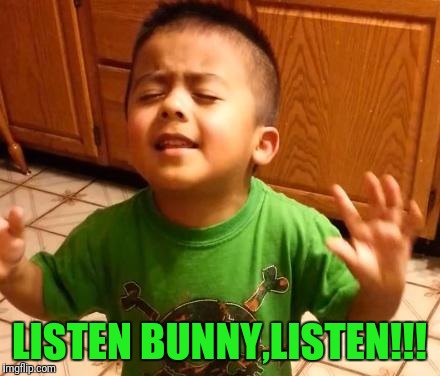 Listen Linda | LISTEN BUNNY,LISTEN!!! | image tagged in listen linda | made w/ Imgflip meme maker