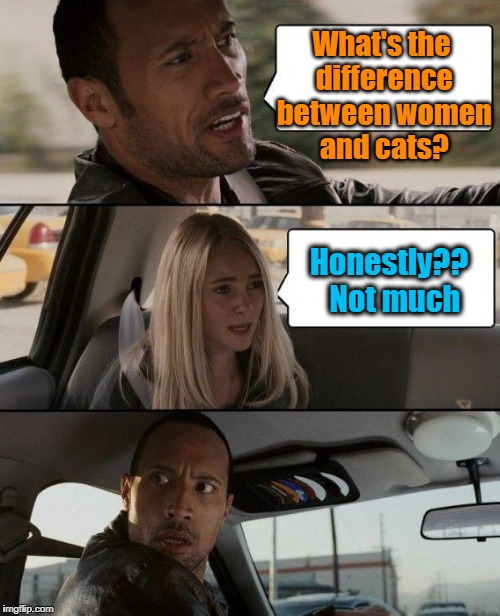 Think about it! The girl's right | What's the difference between women and cats? Honestly??  Not much | image tagged in memes,the rock driving | made w/ Imgflip meme maker
