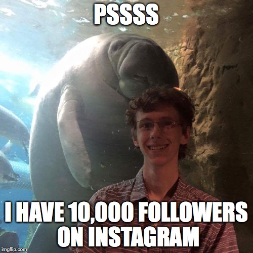 Whispering Manatee | PSSSS; I HAVE 10,000 FOLLOWERS ON INSTAGRAM | image tagged in whispering manatee | made w/ Imgflip meme maker