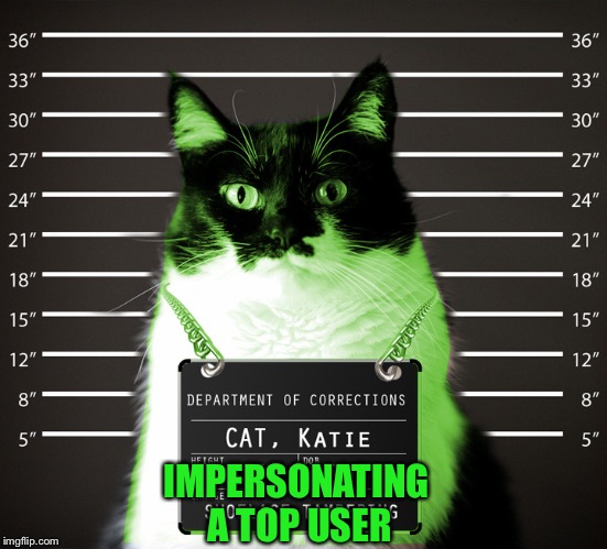 RayCat Incarcerated | IMPERSONATING A TOP USER | image tagged in raycat incarcerated | made w/ Imgflip meme maker