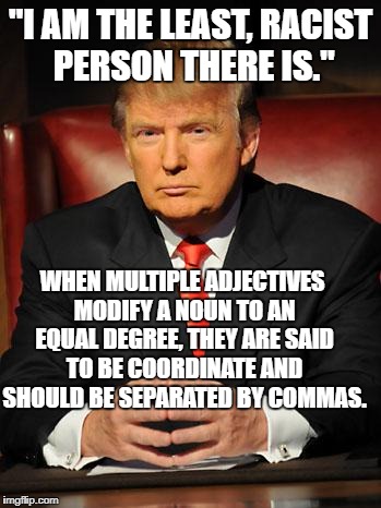 Serious Trump | "I AM THE LEAST, RACIST PERSON THERE IS."; WHEN MULTIPLE ADJECTIVES MODIFY A NOUN TO AN EQUAL DEGREE, THEY ARE SAID TO BE COORDINATE AND SHOULD BE SEPARATED BY COMMAS. | image tagged in serious trump | made w/ Imgflip meme maker