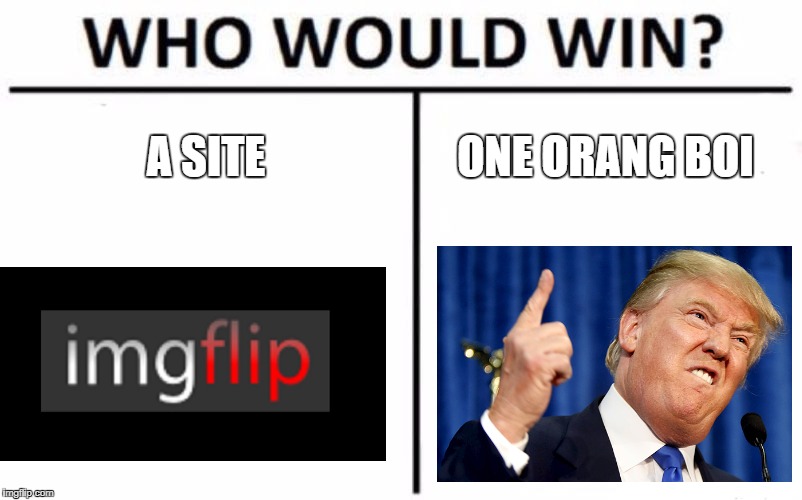iv'e seen him way to much recently | A SITE; ONE ORANG BOI | image tagged in memes,who would win,donald trump,funny,imgflip | made w/ Imgflip meme maker