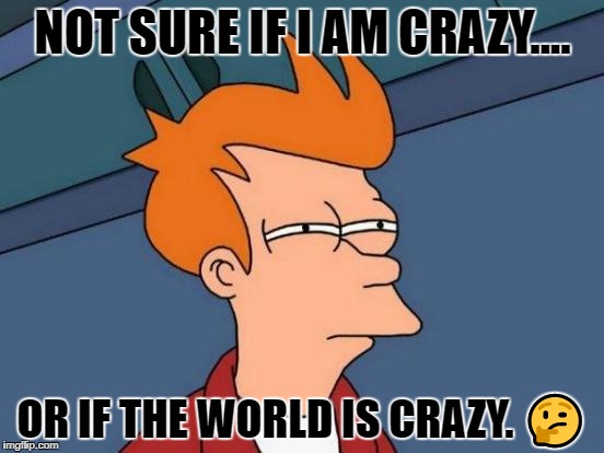 Futurama Fry Meme | NOT SURE IF I AM CRAZY.... OR IF THE WORLD IS CRAZY. 🤔 | image tagged in memes,futurama fry | made w/ Imgflip meme maker