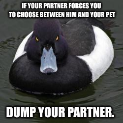 Angry Advice Mallard | IF YOUR PARTNER FORCES YOU TO CHOOSE BETWEEN HIM AND YOUR PET; DUMP YOUR PARTNER. | image tagged in angry advice mallard | made w/ Imgflip meme maker
