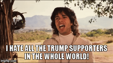 I HATE ALL THE TRUMP SUPPORTERS IN THE WHOLE WORLD! | I HATE ALL THE TRUMP SUPPORTERS IN THE WHOLE WORLD! | image tagged in gifs,trump,maga,qanon,proud boy,oath keeper | made w/ Imgflip video-to-gif maker