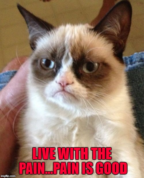 Grumpy Cat Meme | LIVE WITH THE PAIN...PAIN IS GOOD | image tagged in memes,grumpy cat | made w/ Imgflip meme maker