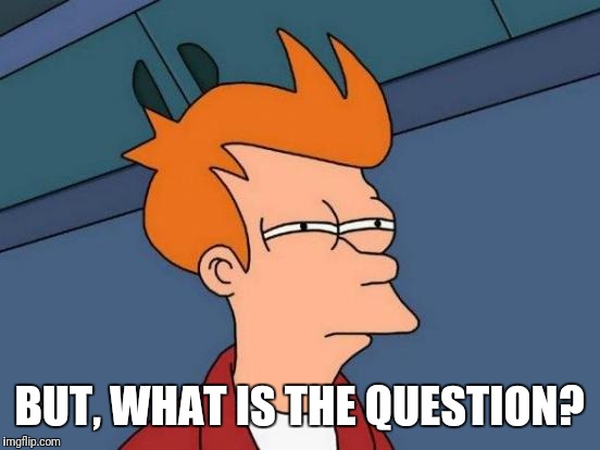 Futurama Fry Meme | BUT, WHAT IS THE QUESTION? | image tagged in memes,futurama fry | made w/ Imgflip meme maker