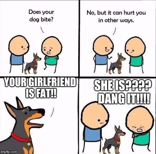 does your dog bite | SHE IS???? DANG IT!!!! YOUR GIRLFRIEND IS FAT!! | image tagged in does your dog bite | made w/ Imgflip meme maker