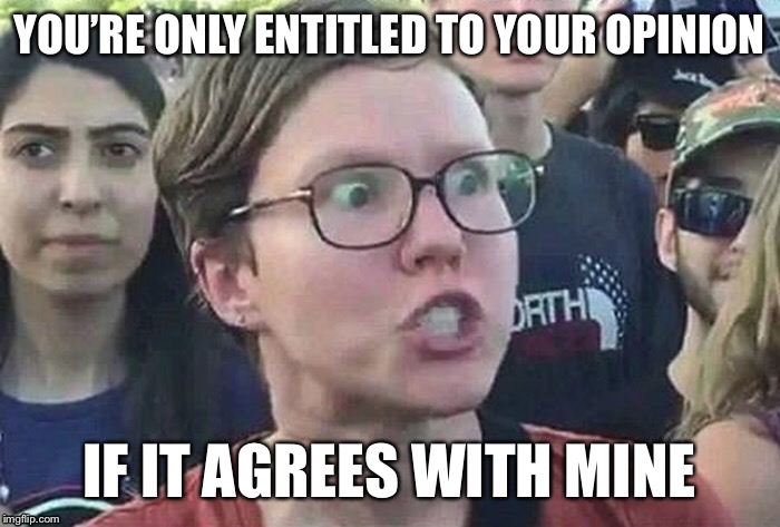 YOU’RE ONLY ENTITLED TO YOUR OPINION IF IT AGREES WITH MINE | made w/ Imgflip meme maker