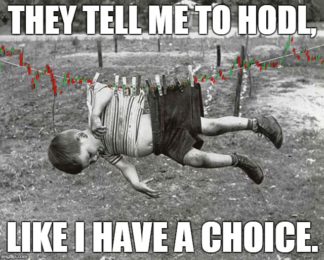 THEY TELL ME TO HODL, LIKE I HAVE A CHOICE. | made w/ Imgflip meme maker