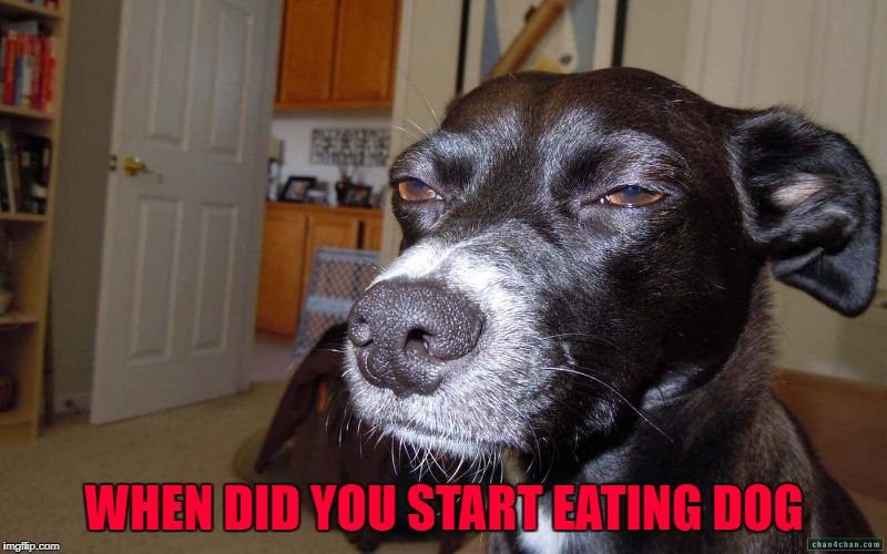 WHEN DID YOU START EATING DOG | made w/ Imgflip meme maker