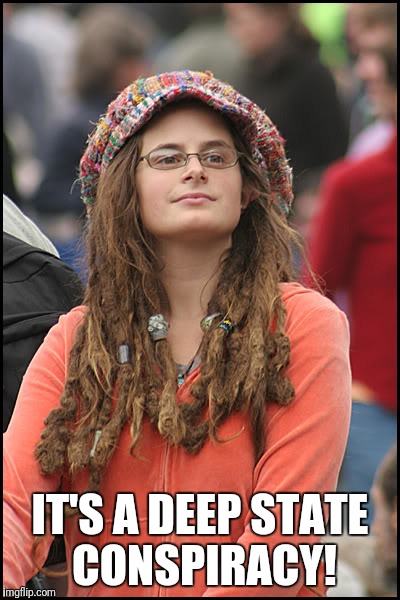 hippie girl big |  IT'S A DEEP STATE CONSPIRACY! | image tagged in hippie girl big | made w/ Imgflip meme maker