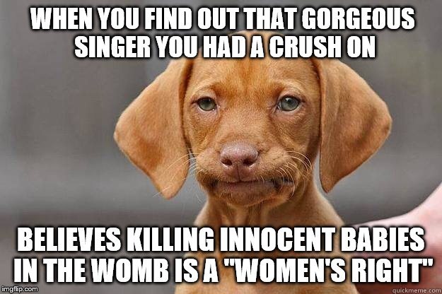 Are there any that don't? | WHEN YOU FIND OUT THAT GORGEOUS SINGER YOU HAD A CRUSH ON; BELIEVES KILLING INNOCENT BABIES IN THE WOMB IS A "WOMEN'S RIGHT" | image tagged in disappointment,pro life,right to life,maga | made w/ Imgflip meme maker
