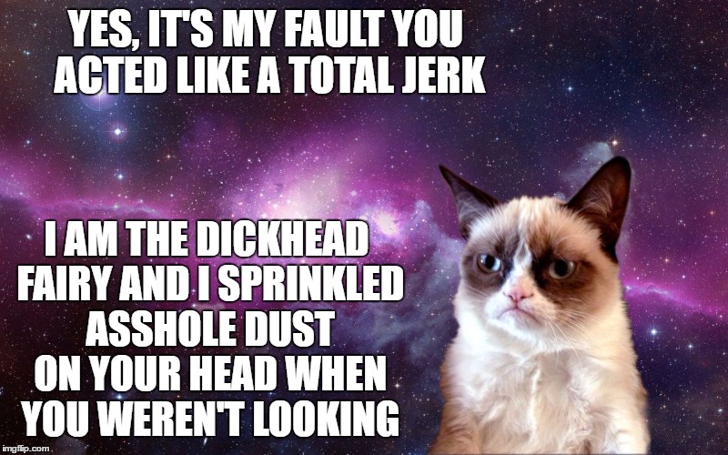 Dam you dickhead fairy | YES, IT'S MY FAULT YOU ACTED LIKE A TOTAL JERK; I AM THE DICKHEAD FAIRY AND I SPRINKLED ASSHOLE DUST ON YOUR HEAD WHEN YOU WEREN'T LOOKING | image tagged in grumpy cat,random,fairy | made w/ Imgflip meme maker