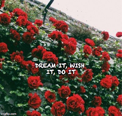 DREAM IT, WISH IT, DO IT | image tagged in roses,roses are red,dream,wish | made w/ Imgflip meme maker