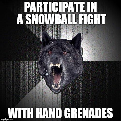 Insanity Wolf's advice for a snowball fight | PARTICIPATE IN A SNOWBALL FIGHT; WITH HAND GRENADES | image tagged in memes,insanity wolf | made w/ Imgflip meme maker