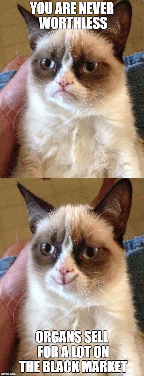 Grumpy Cat 2x Smile | YOU ARE NEVER WORTHLESS; ORGANS SELL FOR A LOT ON THE BLACK MARKET | image tagged in grumpy cat 2x smile | made w/ Imgflip meme maker