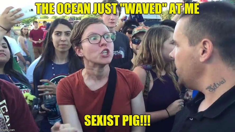 THE OCEAN JUST "WAVED" AT ME SEXIST PIG!!! | made w/ Imgflip meme maker