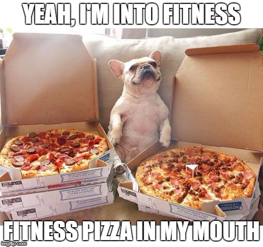 Pizza Dog | YEAH, I'M INTO FITNESS; FITNESS PIZZA IN MY MOUTH | image tagged in pizza dog | made w/ Imgflip meme maker