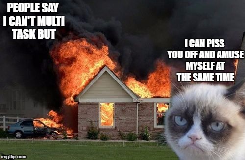 Burn Kitty | PEOPLE SAY I CAN'T MULTI TASK BUT; I CAN PISS YOU OFF AND AMUSE MYSELF AT THE SAME TIME | image tagged in memes,burn kitty,grumpy cat | made w/ Imgflip meme maker